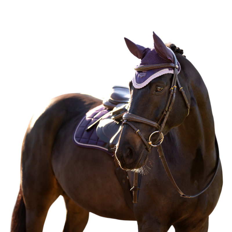 LeMieux - Bonnet pour chevaux Loire juniper | - Ohlala