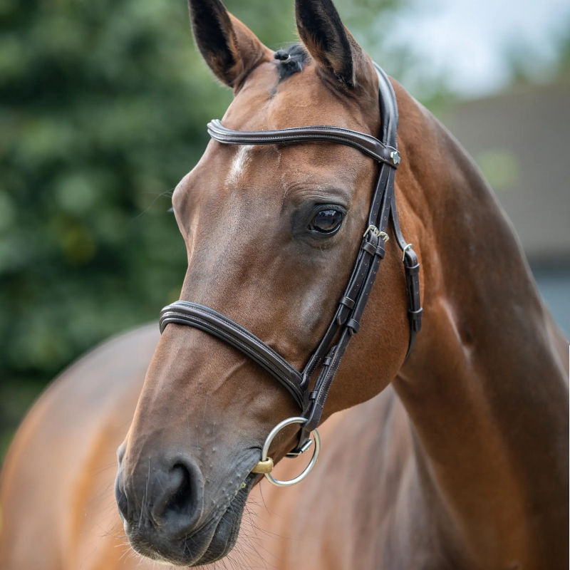Lemieux - Bridon Arika Cavesson marron/ argent | - Ohlala