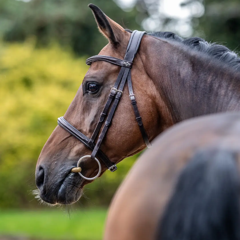 Lemieux - Bridon Arika Cavesson marron/ argent | - Ohlala