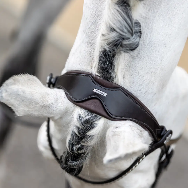 Lemieux - Bridon Kudos Classic Dressage marron | - Ohlala