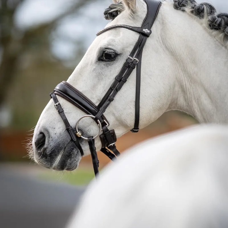 Lemieux - Bridon Kudos Classic Dressage marron | - Ohlala