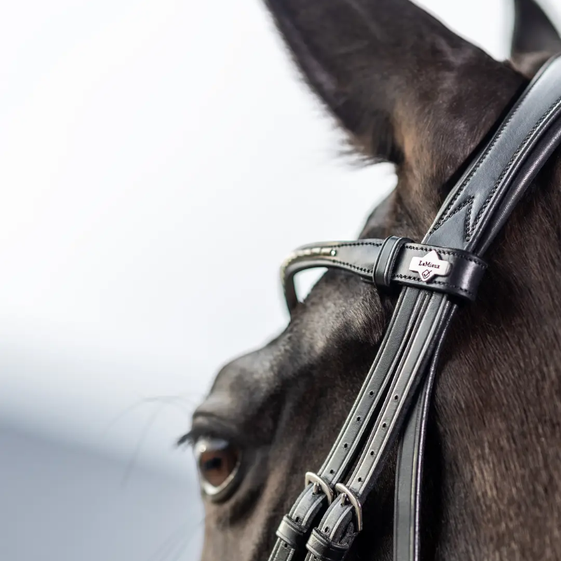 Lemieux - Bridon Kudos Classic Dressage noir | - Ohlala
