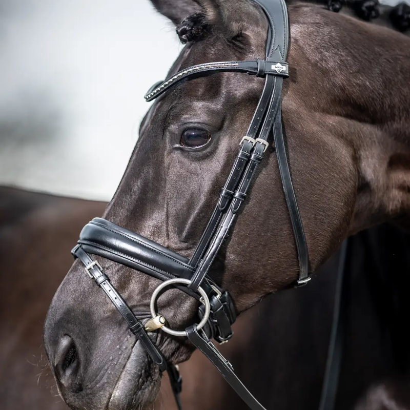 Lemieux - Bridon Kudos Classic Dressage noir | - Ohlala