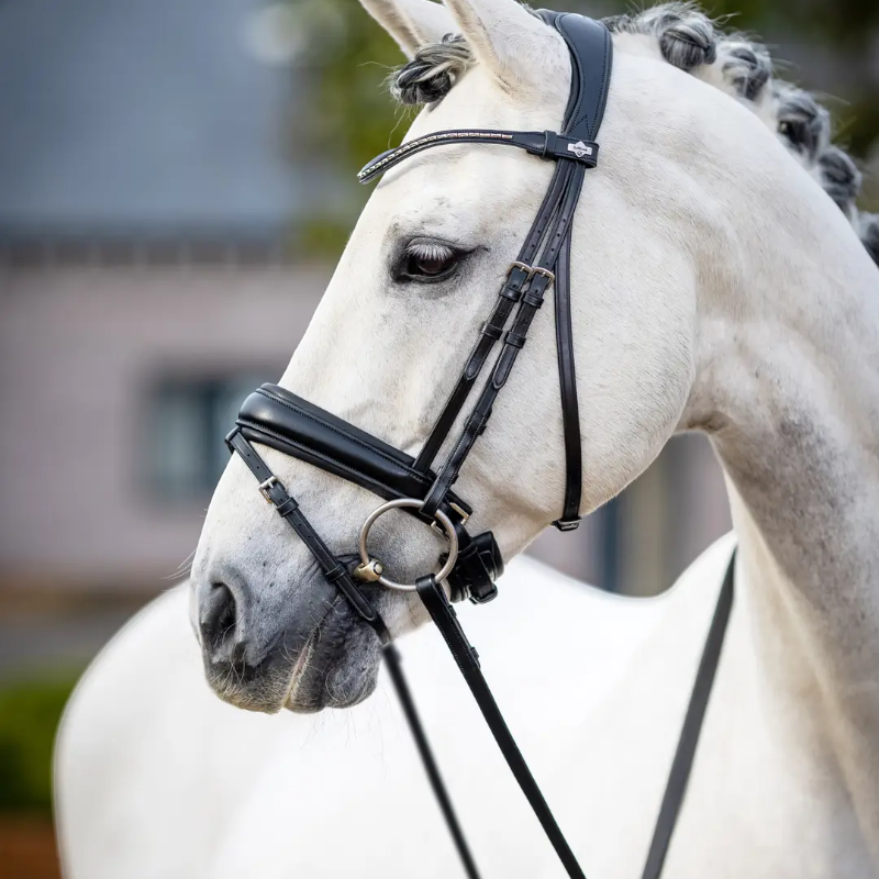 Lemieux - Bridon Kudos Classic Dressage noir | - Ohlala