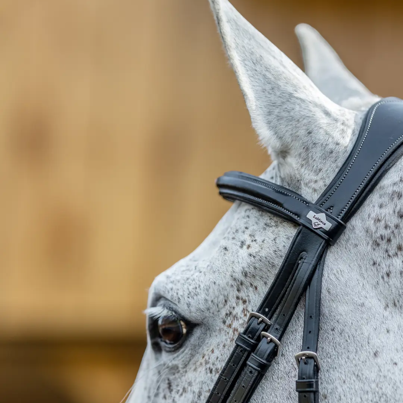 Lemieux - Bridon Kudos Grackle muserolle croisée noir | - Ohlala