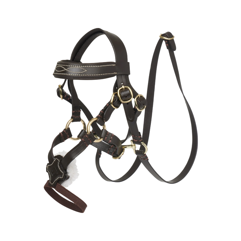 Lemieux - Bridon à muserolle croisée pour Toy Pony Grackle marron | - Ohlala