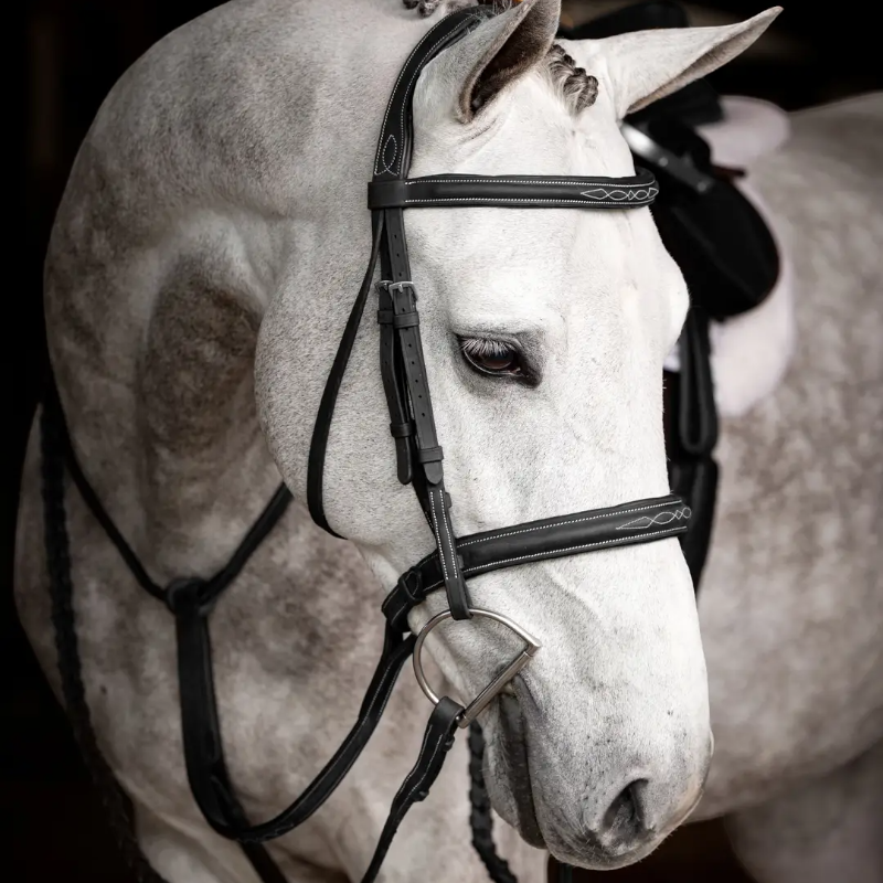 Lemieux - Bridon avec rênes Hunter noir/ argent | - Ohlala