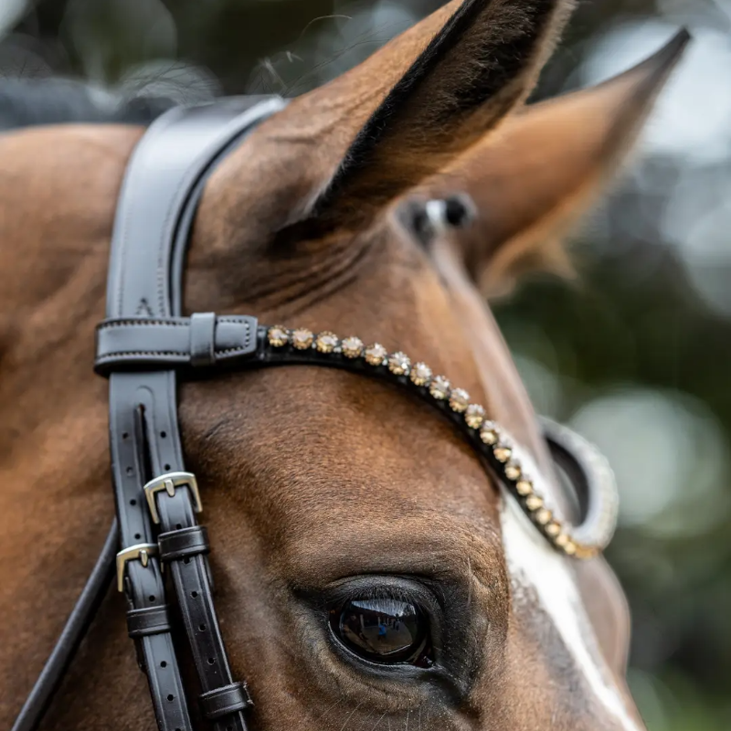 Lemieux - Bridon de dressage Kudos Patent marron | - Ohlala