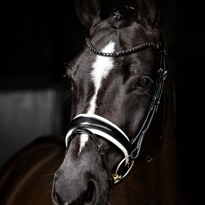 Lemieux - Bridon de dressage Kudos Patent noir/ blanc | - Ohlala