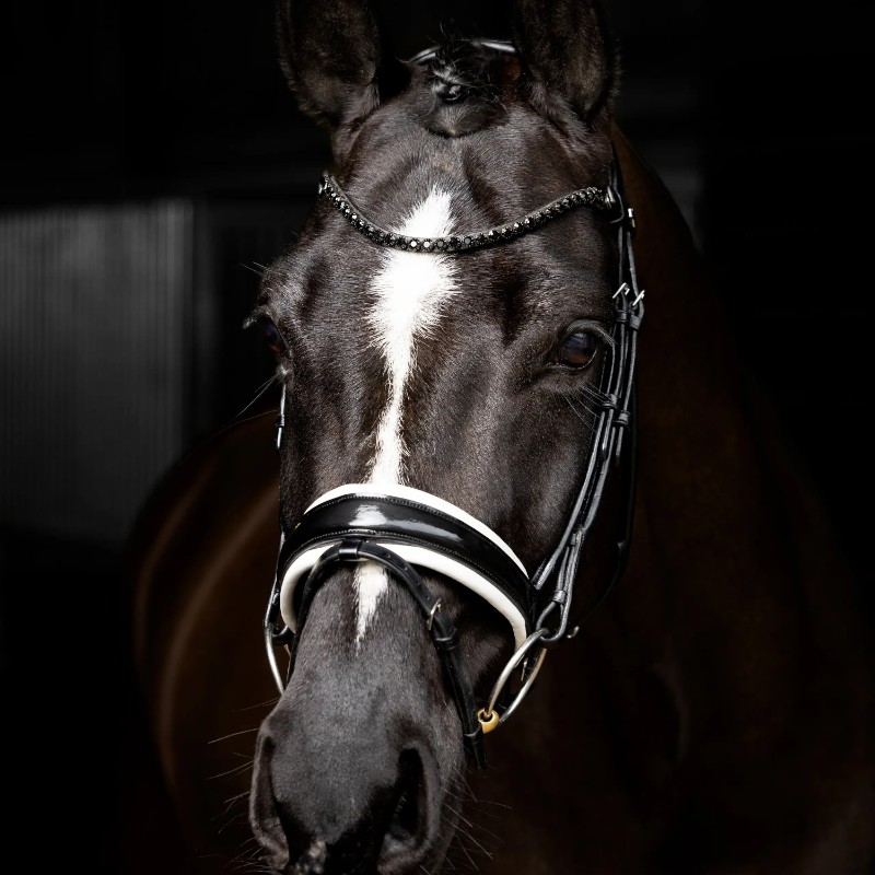 Lemieux - Bridon de dressage Kudos Patent noir/ blanc | - Ohlala