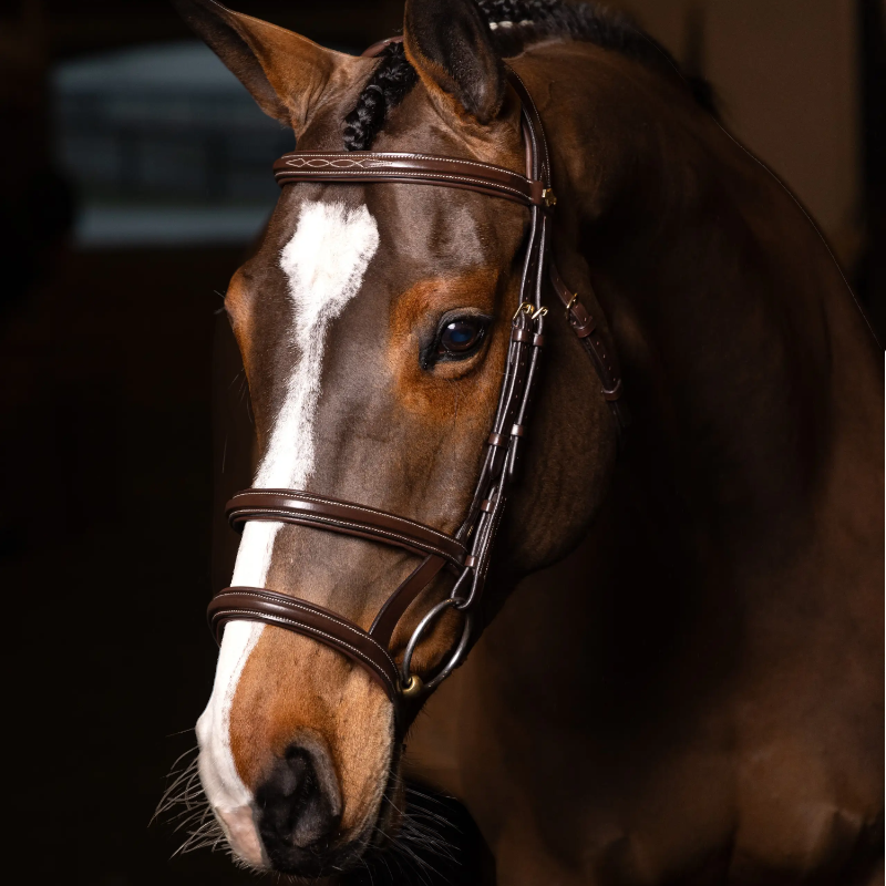 Lemieux - Bridon double muserolle Kudos havane/ laiton | - Ohlala