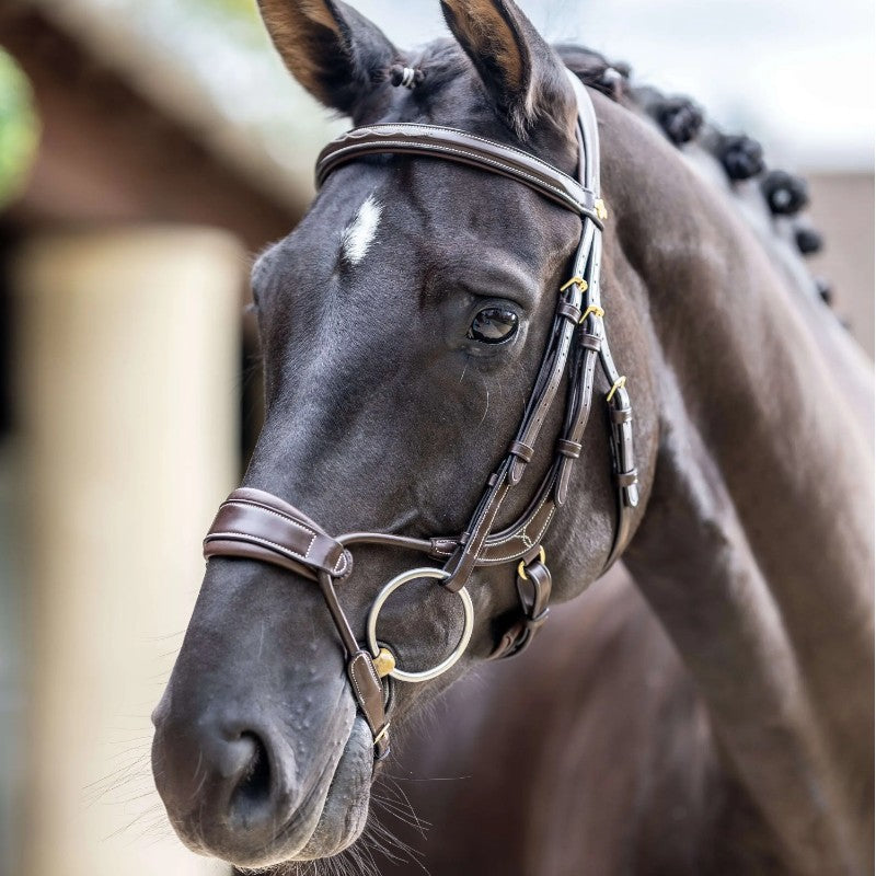 Lemieux - Bridon muserolle anatomique Kudos havane | - Ohlala