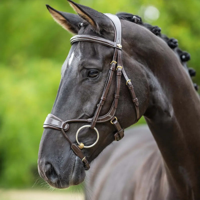 Lemieux - Bridon muserolle anatomique Kudos havane | - Ohlala