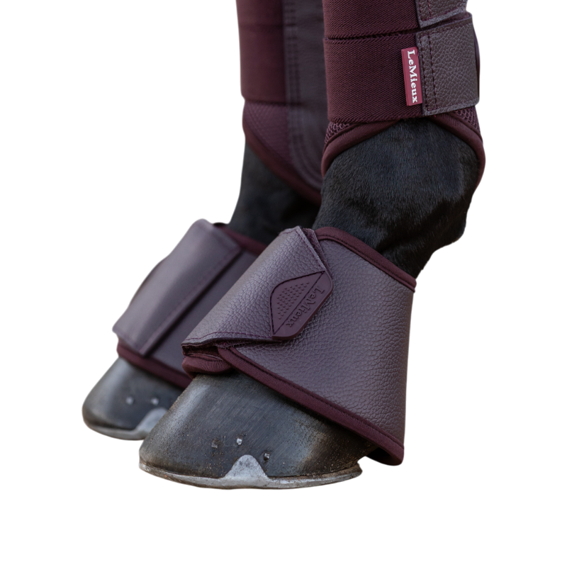 LeMieux - Cloches Arika damson | - Ohlala