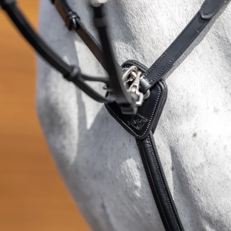 Lemieux - Collier de chasse D-Ring Attachment noir/ argent | - Ohlala