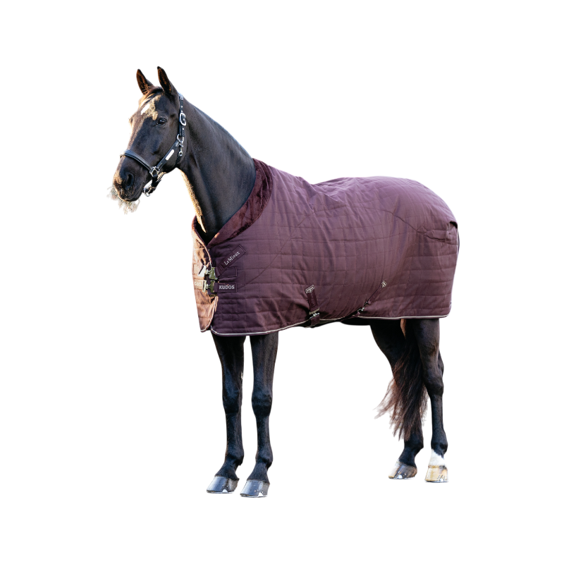 LeMieux - Couverture d’écurie Kudos Luxe doublée damson | - Ohlala