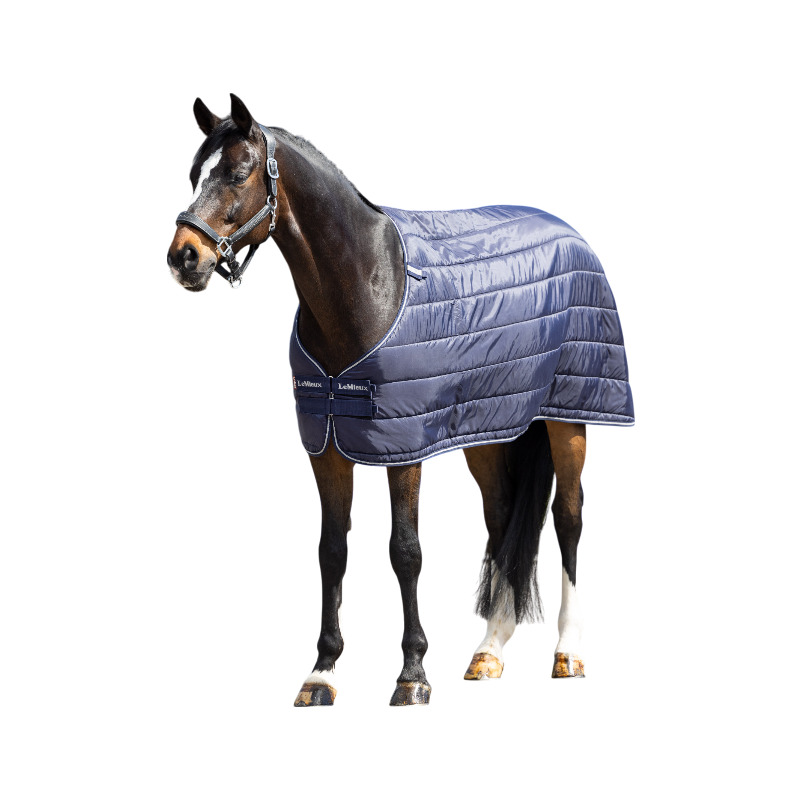 Lemieux - Doublure marine 200g | - Ohlala