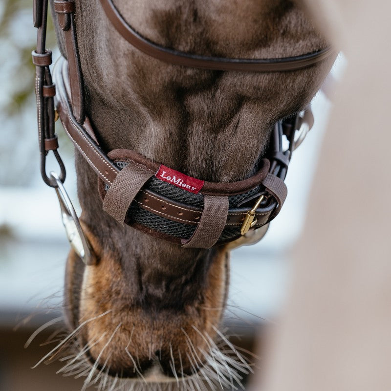 Lemieux - Fourreau de muserolle marron | - Ohlala
