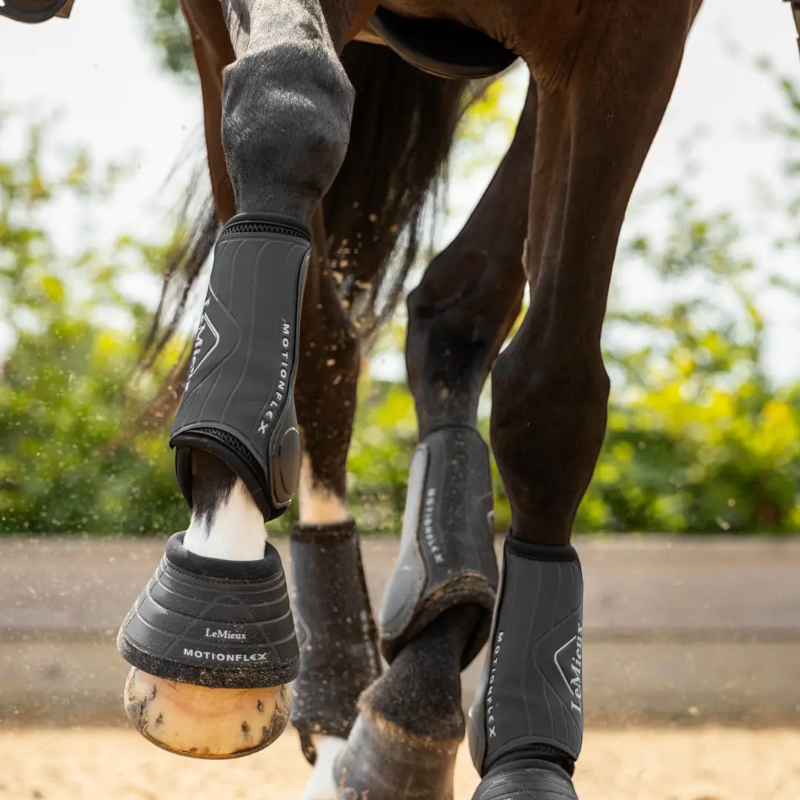 Lemieux - Guêtres fermées de dressage Motionflex noir | - Ohlala
