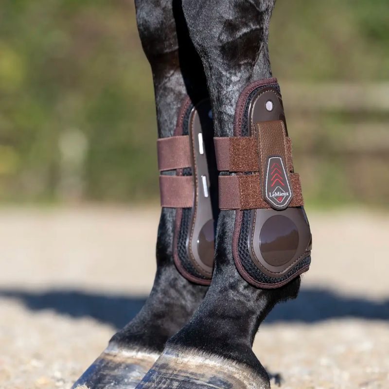Lemieux - Guêtres ouvertes Derby ProJump marron | - Ohlala