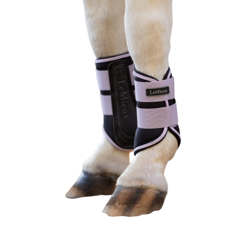 LeMieux - Guêtres souples de travail lilac | - Ohlala