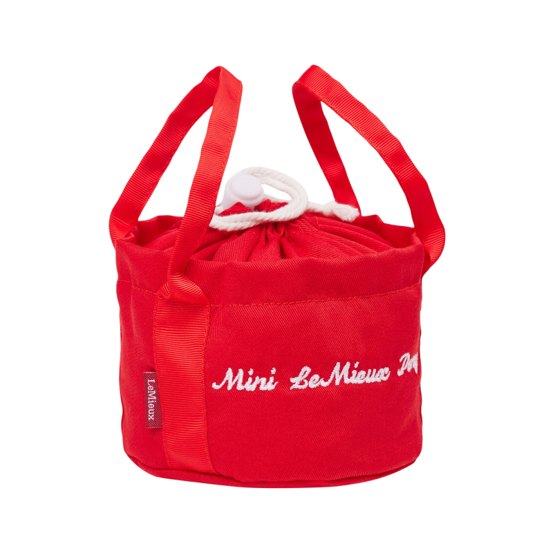 Lemieux - Kit de pansage pour toy pony Chilli | - Ohlala