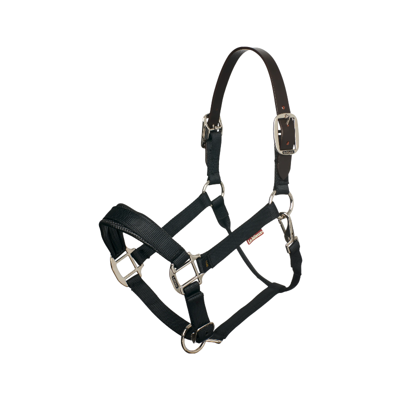 Lemieux - Licol Break Away noir | - Ohlala