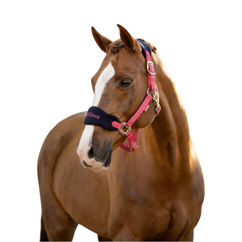 LeMieux - Licol et longe Vogue cranberry | - Ohlala