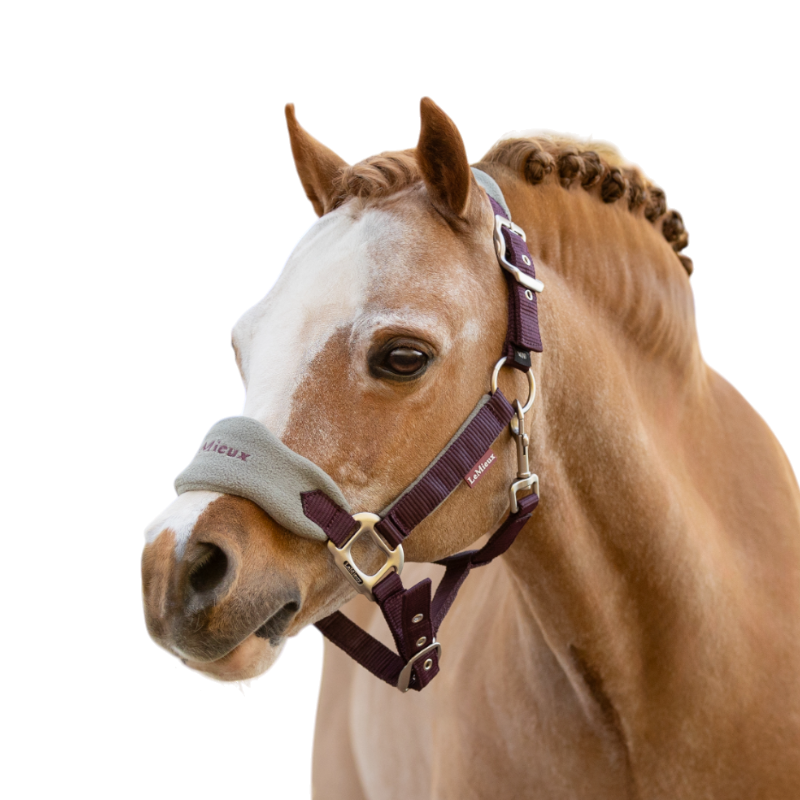 LeMieux - Licol et longe Vogue damson | - Ohlala