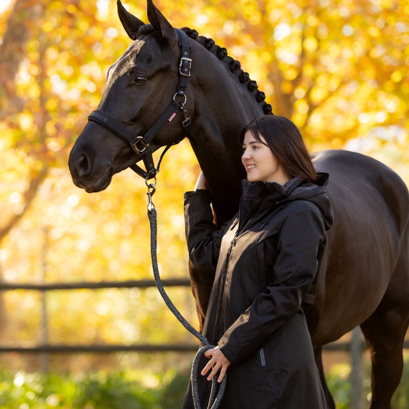 Lemieux - Licol pour chevaux Essence noir | - Ohlala