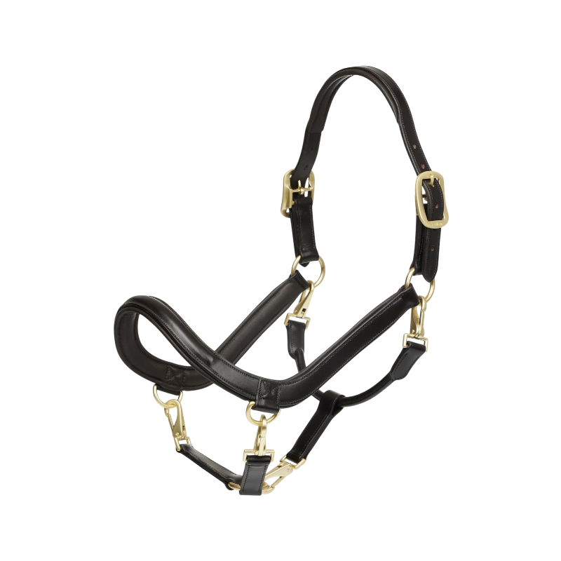 Lemieux - Licol pour chevaux Leather Grooming marron | - Ohlala