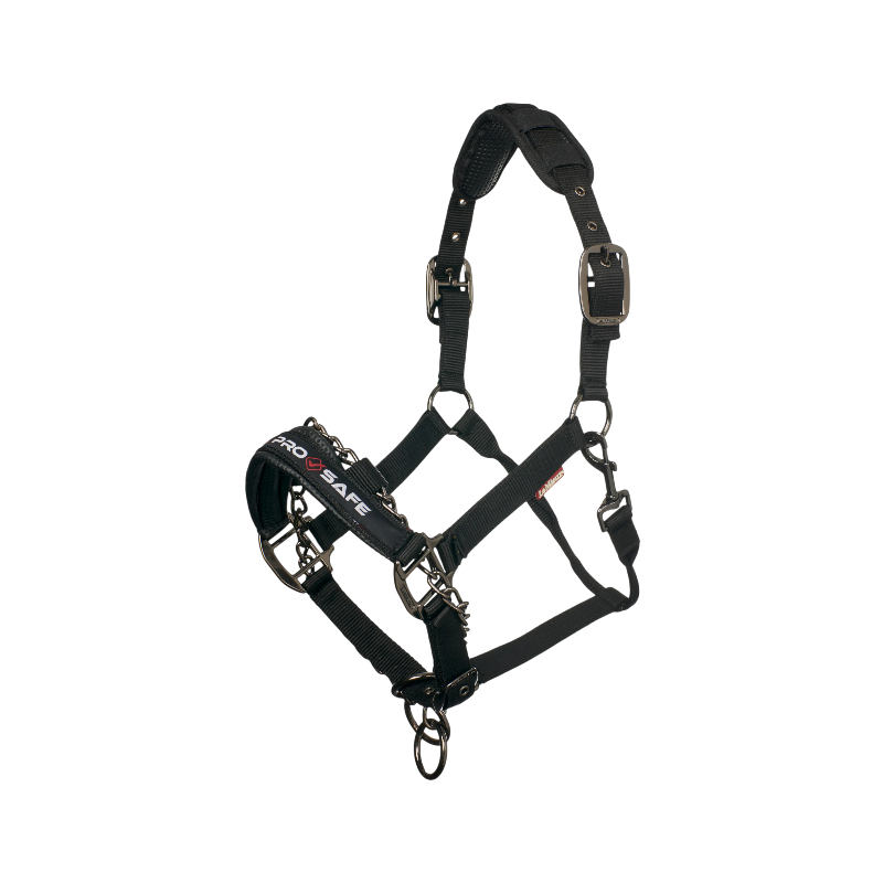 Lemieux - Licol pour chevaux ProSafe noir | - Ohlala