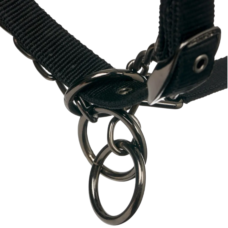 Lemieux - Licol pour chevaux ProSafe noir | - Ohlala