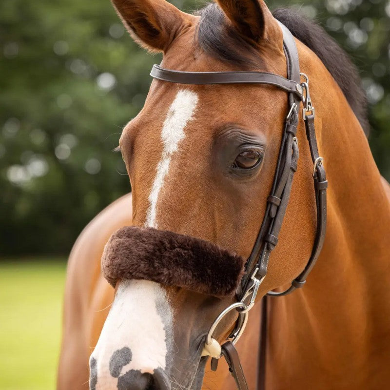 Lemieux - Protège-muserolle en laine Simuwool marron | - Ohlala