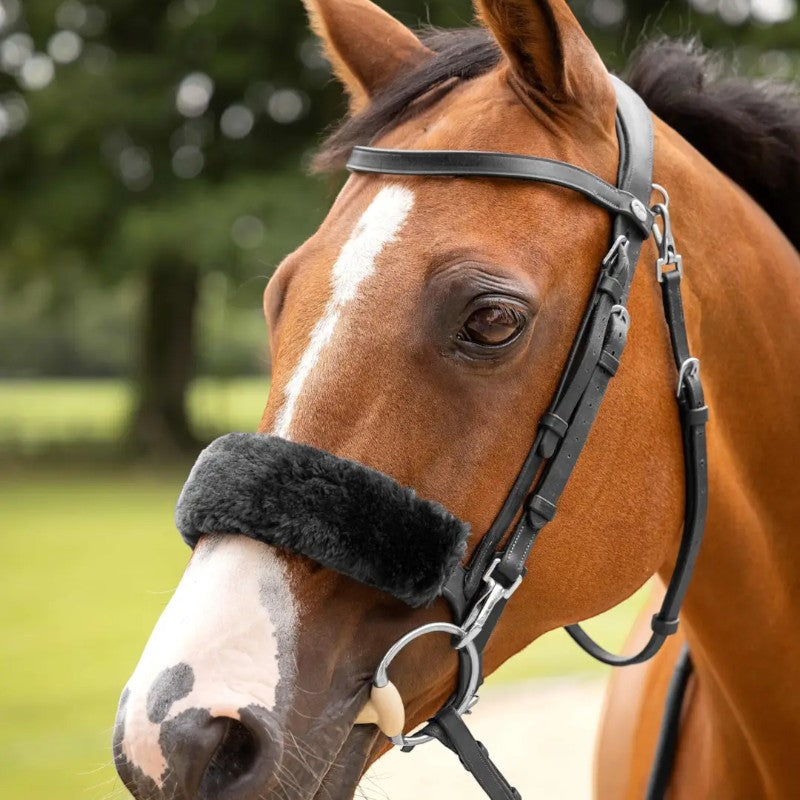 Lemieux - Protège-muserolle en laine Simuwool noir | - Ohlala