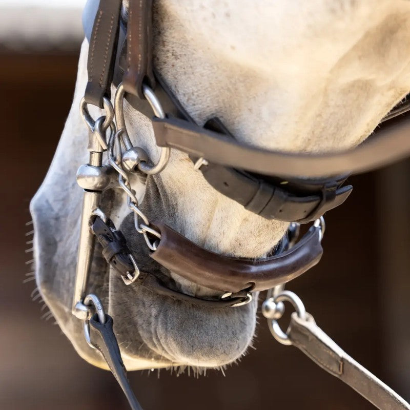 Lemieux - Protège gourmette Curb Chain marron | - Ohlala