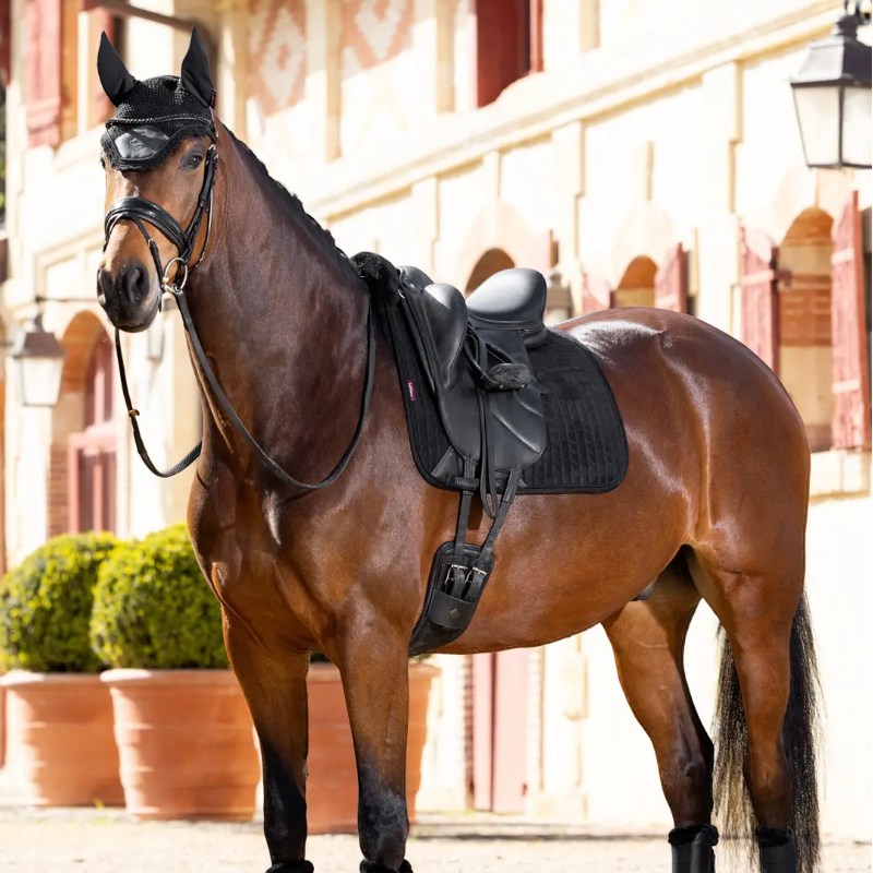 Lemieux - Tapis de dressage Merino + avec amortisseur intégré noir | - Ohlala