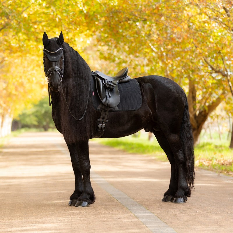 Lemieux - Tapis de dressage Square Essence noir | - Ohlala