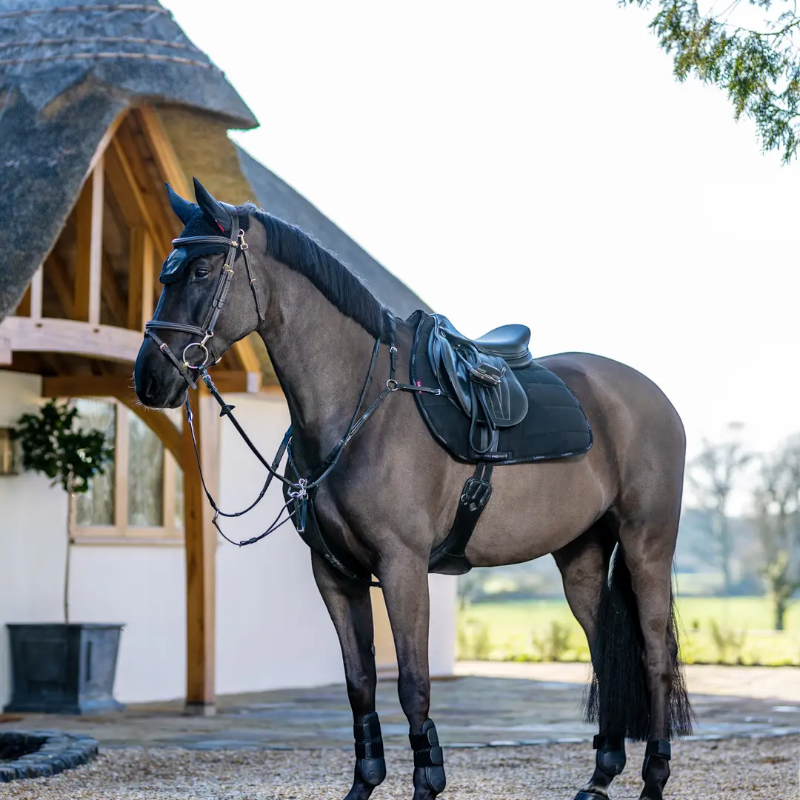 Lemieux - Tapis de selle GP Work noir | - Ohlala