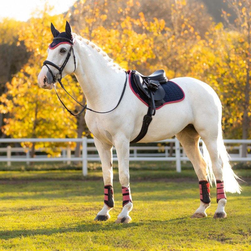 Lemieux - Tapis de selle Square suédine marine/ cranberry | - Ohlala
