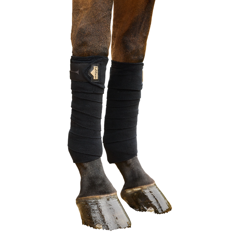 LeMieux - Bandes de polo Elevate noir x4