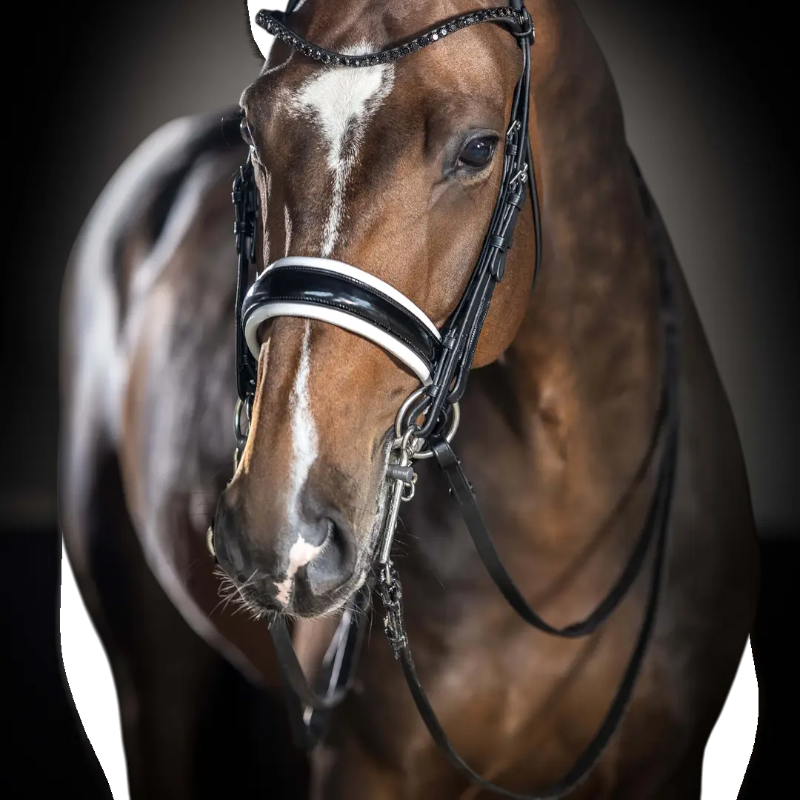 Lemieux - Bride Kudos noir/ blanc | - Ohlala