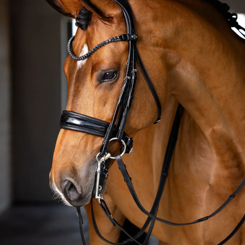 Lemieux - Bride Kudos noir | - Ohlala