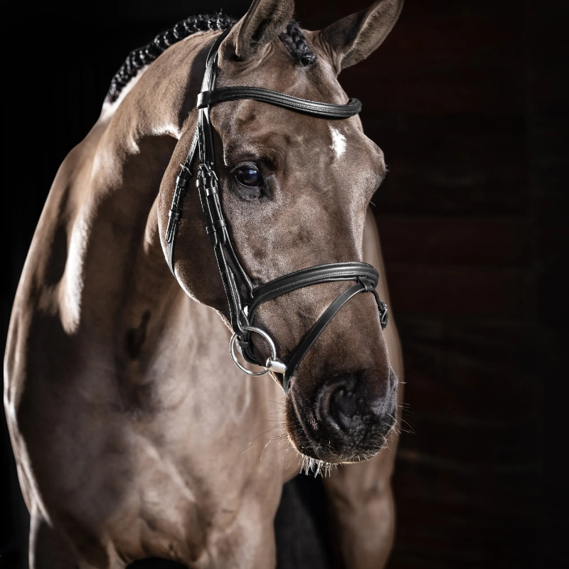 Lemieux - Bridon Arika Flash noir/ argent | - Ohlala