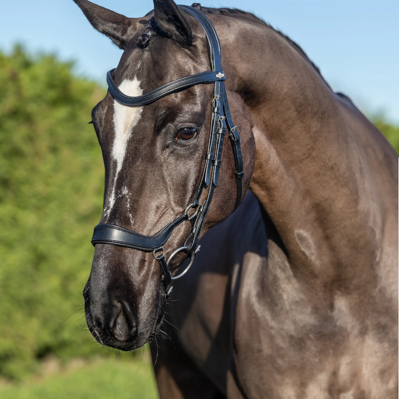 Lemieux - Bridon Arika muserolle basse noir/ argent | - Ohlala