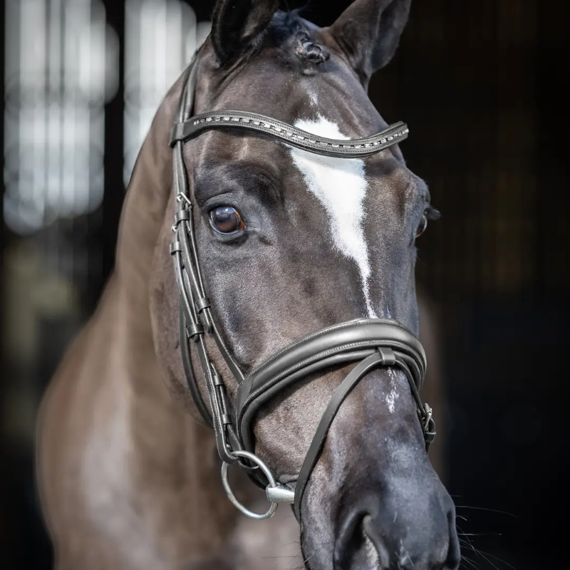 Lemieux - Bridon de dressage Arika noir/ argent | - Ohlala