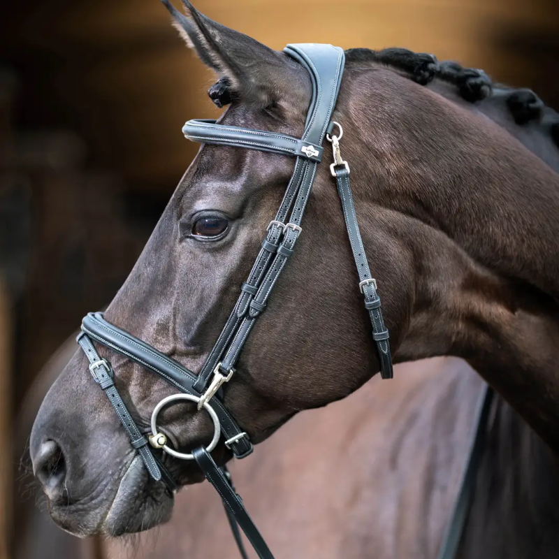 Lemieux - Bridon Kudos Work noir | - Ohlala