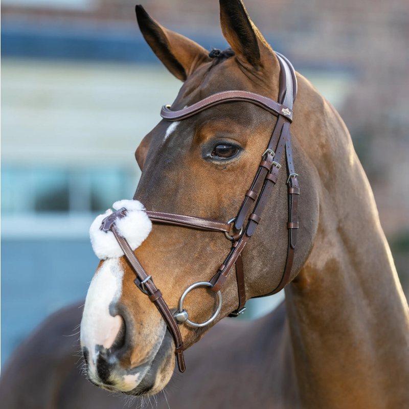 Lemieux - Bridon muserolle croisée Arika havane/ argent | - Ohlala