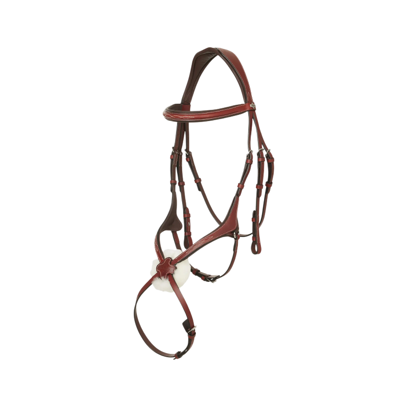 Lemieux - Bridon muserolle croisée Kudos chestnut | - Ohlala