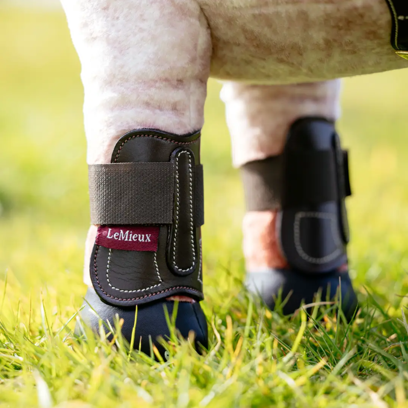 Lemieux - Guêtres pour peluche Toy Pony Capella marron | - Ohlala